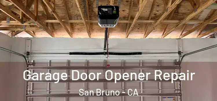  Garage Door Opener Repair San Bruno - CA